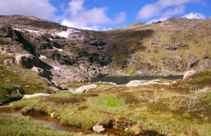 Missing Australian hiker found after surviving two weeks on muesli bars and berries
