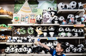 Hong Kong's plan to lure back visitors? It's black, white and eats bamboo