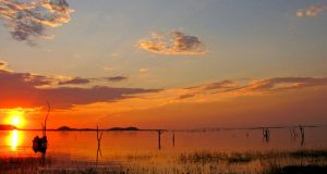 Young boy survives 5 days in 'lion-infested' African game park after wandering from home