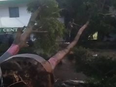 Intempéries à Plaisance-du-Nord : route coupée, population en détresse, autorités invisibles