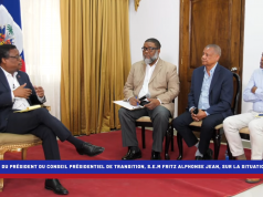 « Franchement, il y a des choses que je ne comprends même pas » : la confession troublante de Fritz Jean sur l’avant-projet Constitution PHTK-CPT