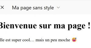 Création site web facile – Leçon 2 : Rencontre avec HTML et CSS
