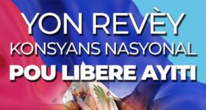 Haïti, un État embryonnaire… ou un simulacre postcolonial en phase terminale?