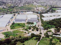 The Mechanics of Dependence: A Dominican Capitalist, a Cheap Labor Imperative, and the Economy of Chaos