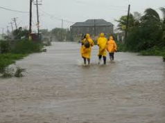 Ayiti / Anviwonman : Kote rasin vilnerabilite Ayiti sòti ?