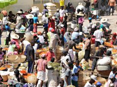 How and Why Haitians Cope with Capitalism Differently in the Diaspora than in Haiti