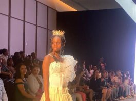 L’image de Stephora et l’insulte « Maudite Haïtienne »