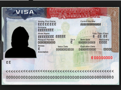 Restrictions d’entrée aux Etats-Unis dès le 1er janvier : la Dominique mobilise sa diplomatie pour obtenir des clarifications