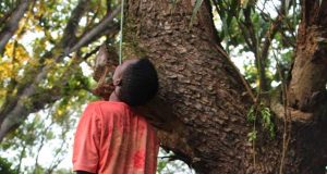 Le lynchage de Tulile !