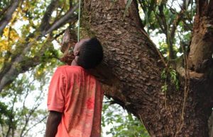 Le lynchage de Tulile